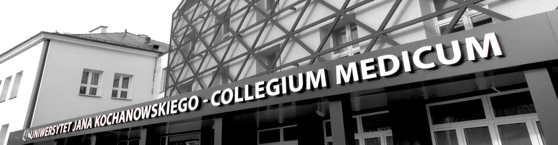 Wejście do Collegium Mediucm