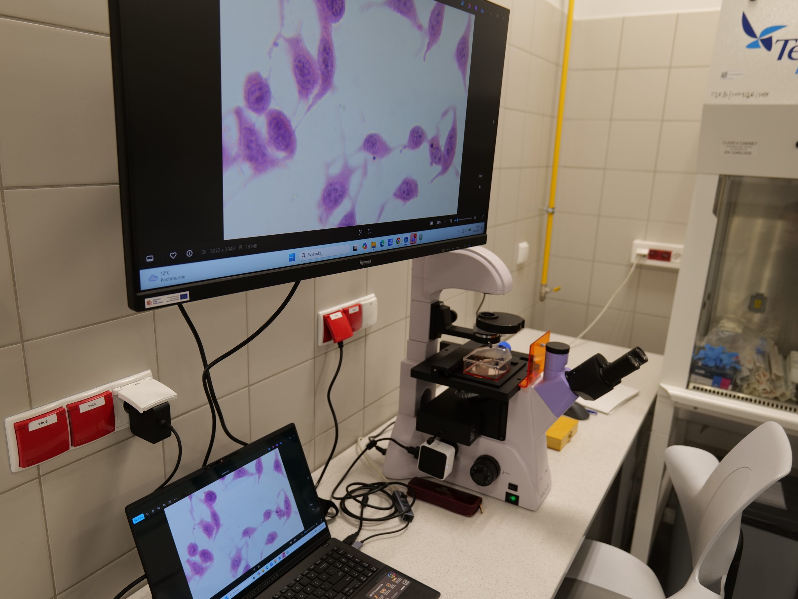 Stanowisko laboratoryjne wyposażone w mikroskop połączony z systemem komputerowym do analizy i prezentacji obrazów mikroskopowych. Obraz preparatu widoczny jest jednocześnie na monitorze oraz laptopie, co umożliwia obserwację i dokumentowanie wyników badań. W otoczeniu znajdują się elementy infrastruktury laboratoryjnej, w tym dygestorium oraz instalacje techniczne wspierające pracę badawczą.