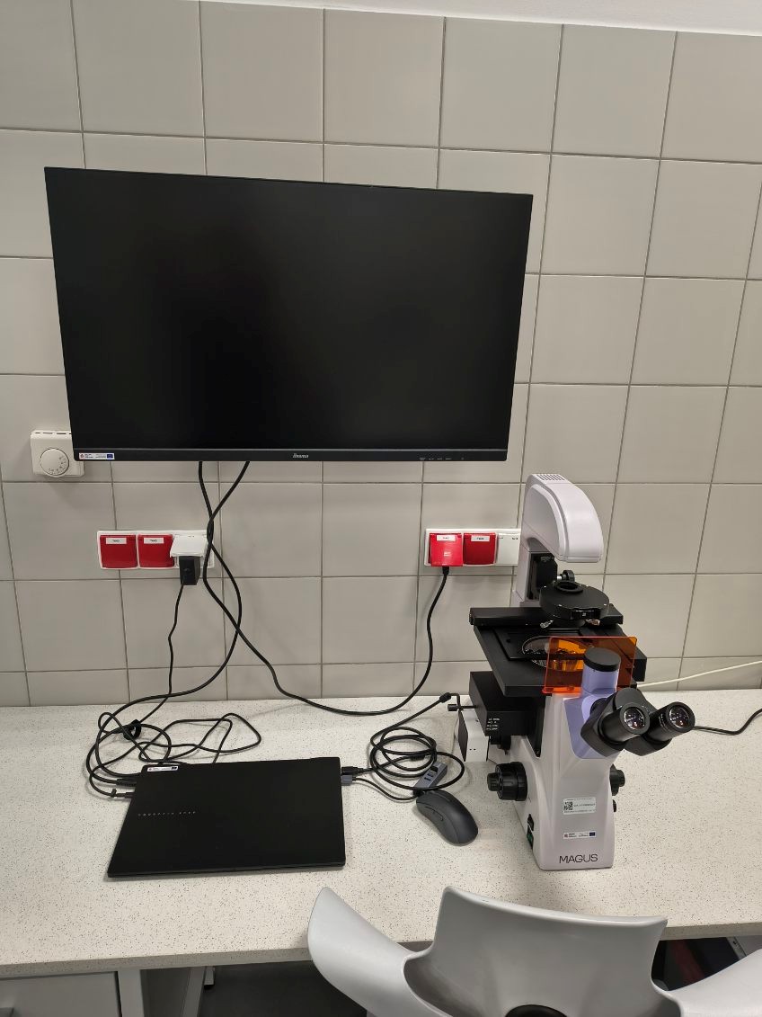 Zdjęcie przedstawia stanowisko laboratoryjne z białym blatem roboczym i mikroskopem MAGUS wyposażonym w binokularne okulary oraz obrotowy układ obiektywów. Nad stanowiskiem znajduje się monitor, a na blacie widoczne są laptop i mysz komputerowa. W tle znajdują się płytki ścienne, gniazda elektryczne oraz przewody podłączone do wyposażenia.